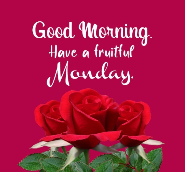 Happy Monday Morning Wishes and Greetings - Wishes & Messages Blog